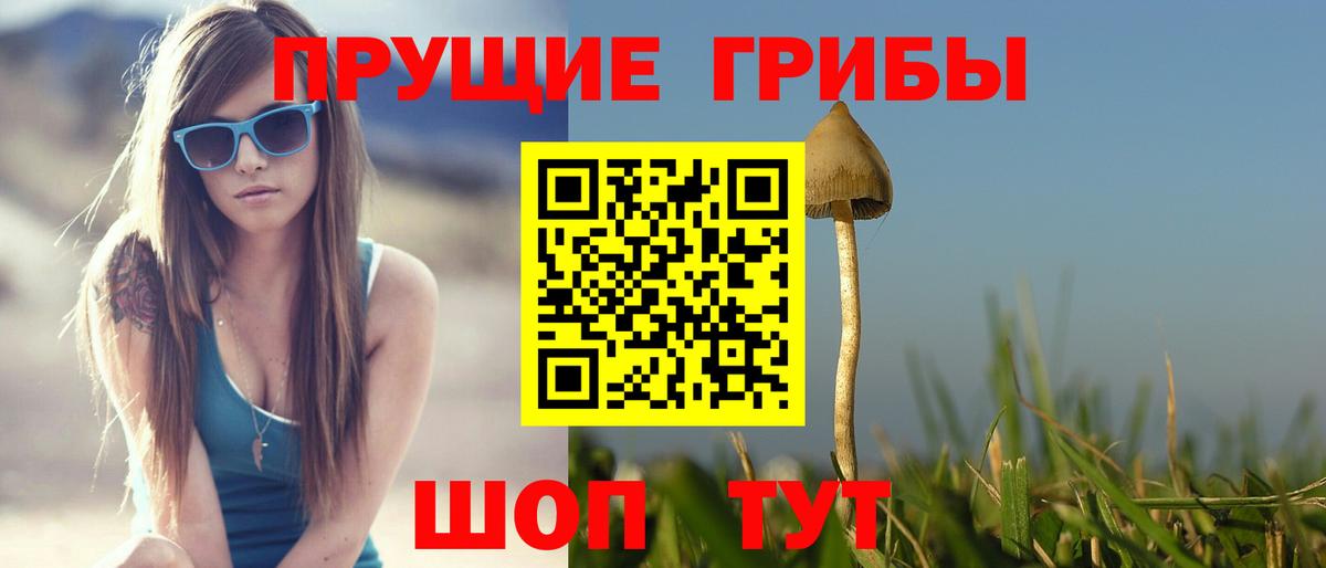 Галлюциногенные грибы GOLDEN TEACHER  Вход с VPN  Крымск  Псилоцибиновые грибы Psilocybine cubensis 